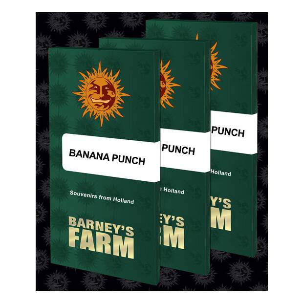 Barneys Farm Banana Punch 5 Stk feminisiert