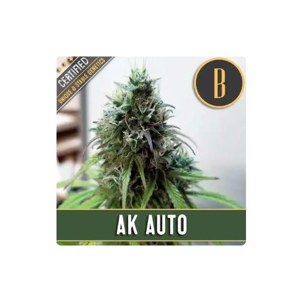 Blimburn Seeds AK Auto