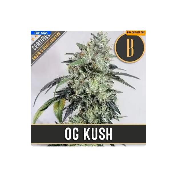 Blimburn Seeds OGs Kush