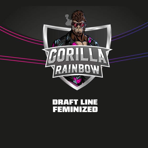 Bsf Seeds Gorilla Rainbows - Draft Line