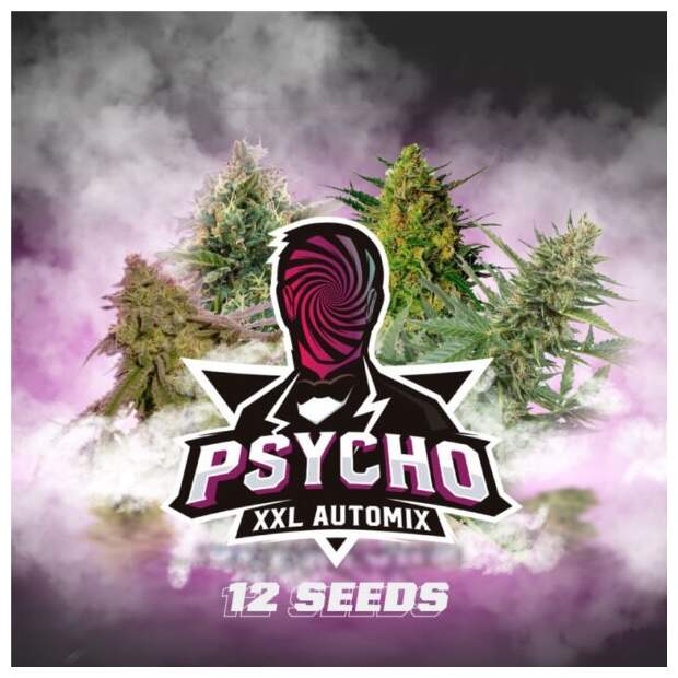 Bsf Seeds Psycho XXL Automix, 37,50