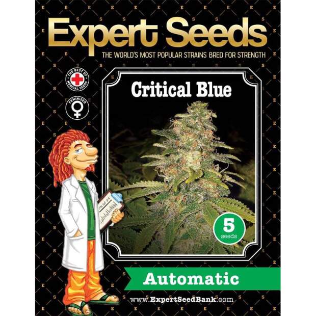 Expert Seeds Critical Blue Auto