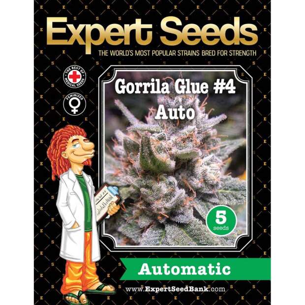 Expert Seeds Expert Gorilla Auto