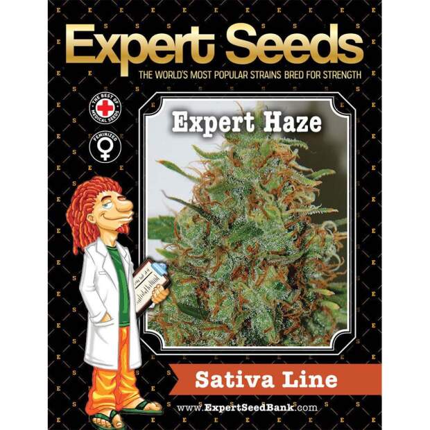Expert Seeds Expert Haze
