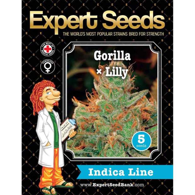 Expert Seeds Gorilla Glue # 4 X Lilly