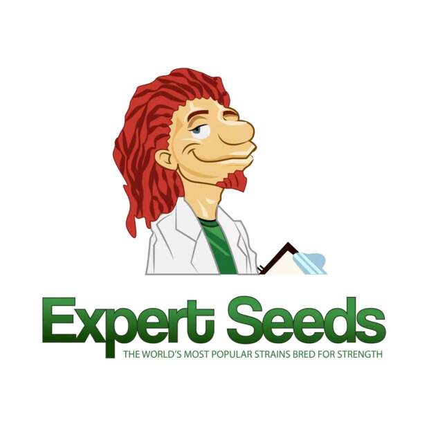Expert Seeds Lavender