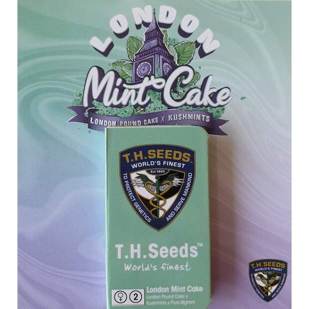 T.H. Seeds London Mint Cake- Free 710 Limited 7+1 Pack