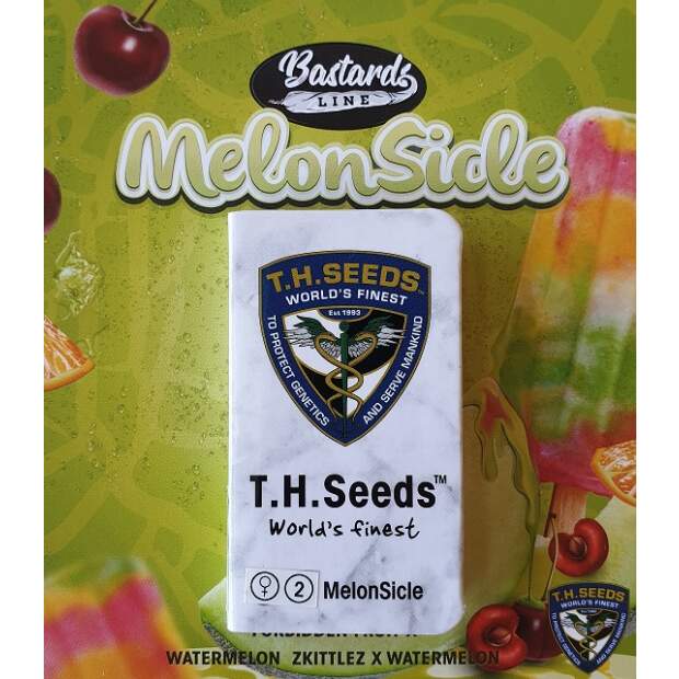 T.H. Seeds Melonsicle