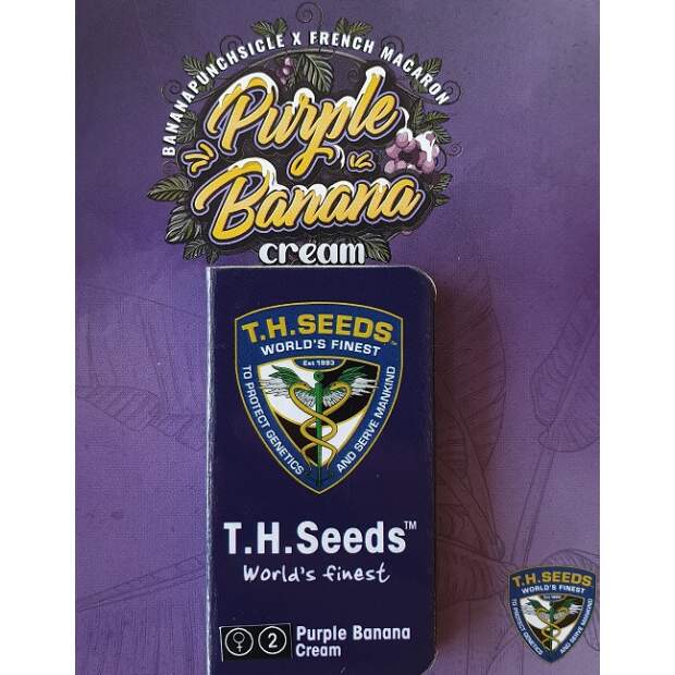 T.H. Seeds Purple Banana Cream