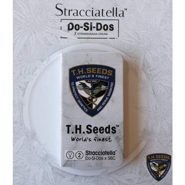 T.H. Seeds Stracciatella Do-Si-Dos X Sbc