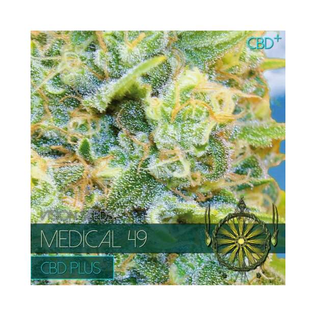 Vision Seeds Medical 49 - CBD+