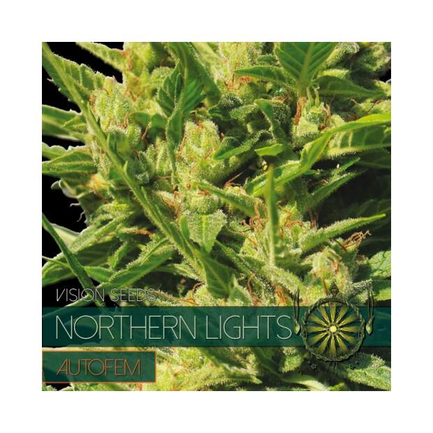 Vision Seeds Northern Lights Auto