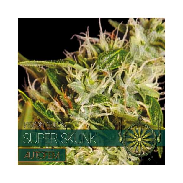 Vision Seeds Super Skunk Auto