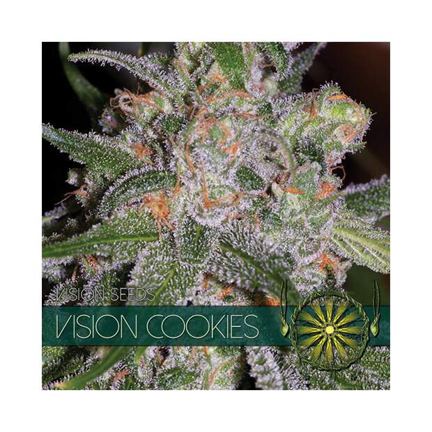 Vision Seeds Vision Cookies