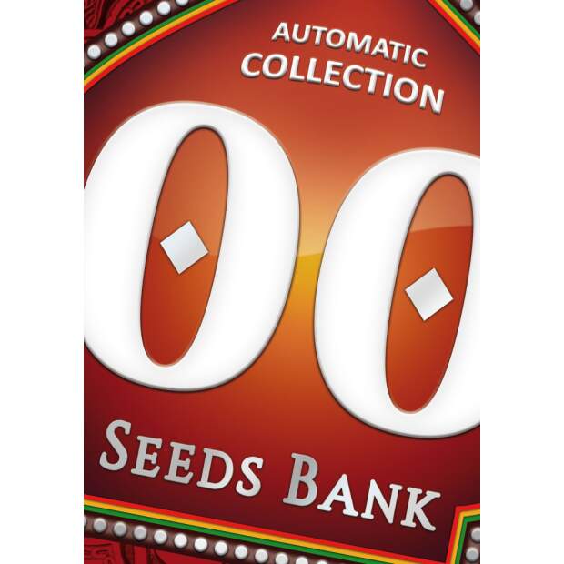 00 Seeds Auto Collection #1 6 Stk feminisiert
