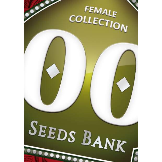 00 Seeds Female Collection #2 6 Stk feminisiert