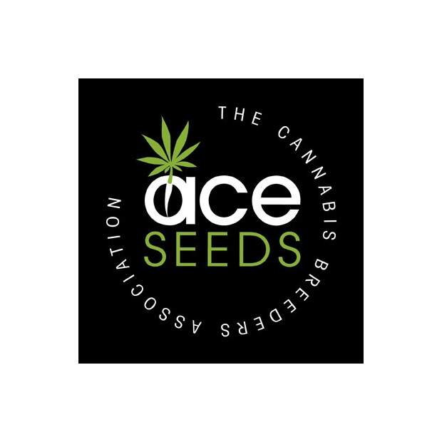 Ace Seeds Hashplant S1 5 Stk feminisiert