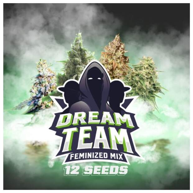 Bsf Seeds Dream Team Feminized Mix 12 pcs feminised