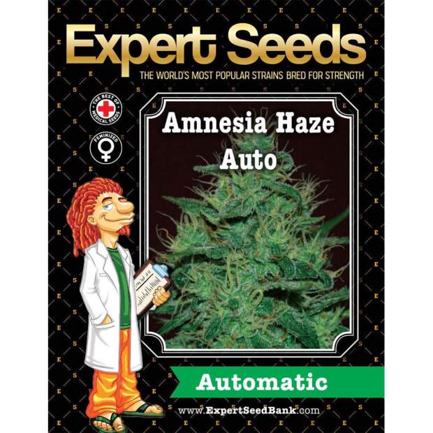 Expert Seeds Amnesia Haze Auto 5 Stk feminisiert