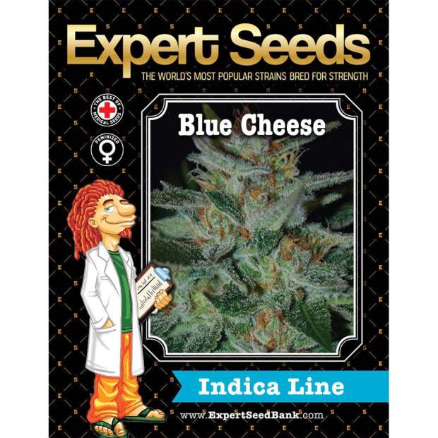 Expert Seeds Blue Cheese 5 pcs feminised