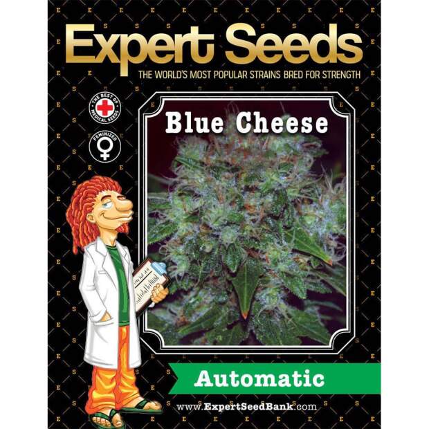 Expert Seeds Blue Cheese Auto 15 Stk feminisiert