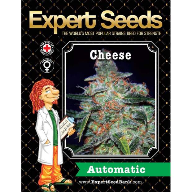Expert Seeds Cheese Auto 15 Stk feminisiert