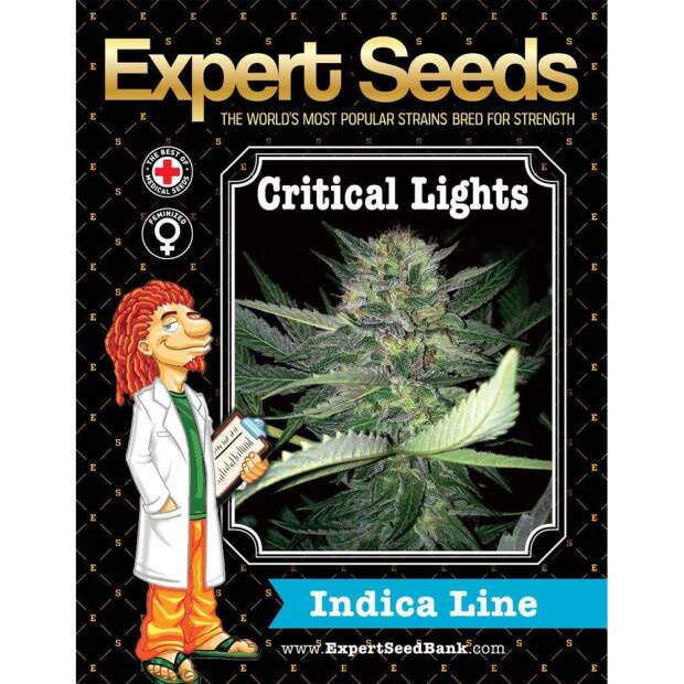 Expert Seeds Critical Lights 3 pcs feminised