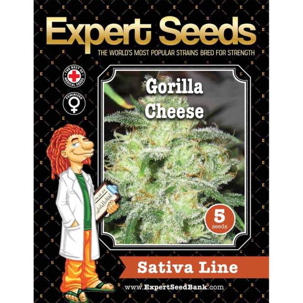 Expert Seeds Gorilla Cheese 3 Stk feminisiert