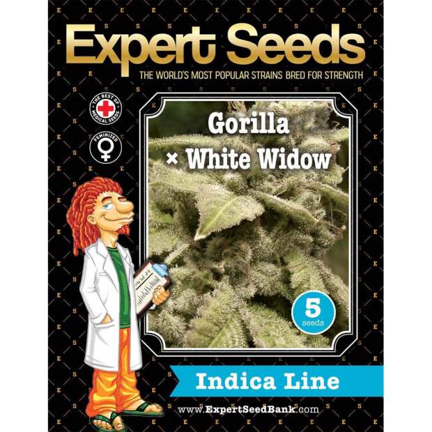 Expert Seeds Gorilla White Widow 3 pcs feminised