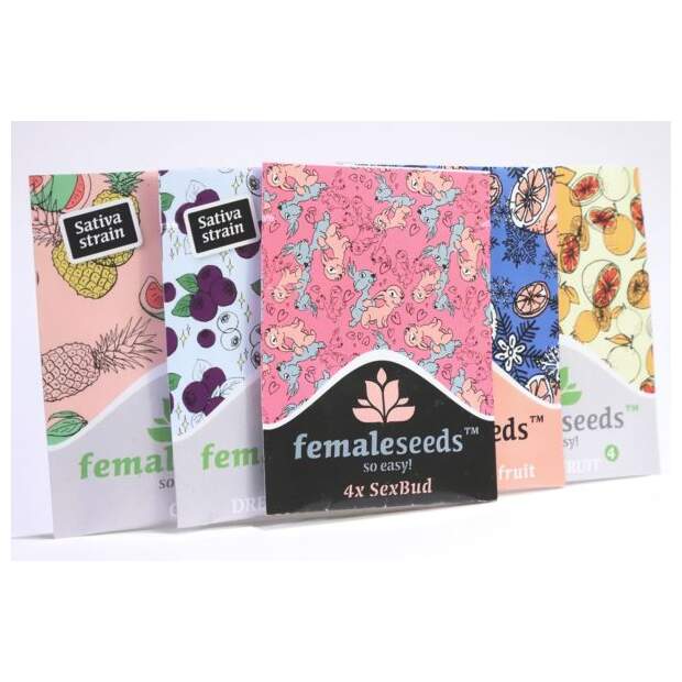 Female Seeds Indoor Mix 4 pcs feminised