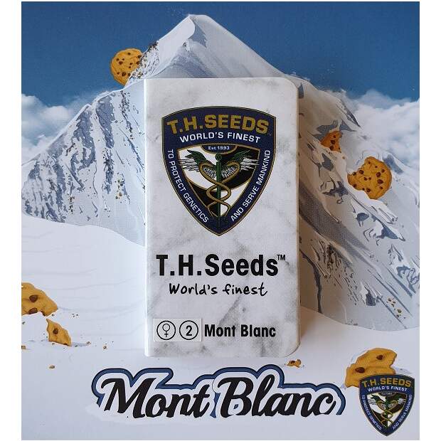 T.H. Seeds Mont Blanc 6 pcs feminised