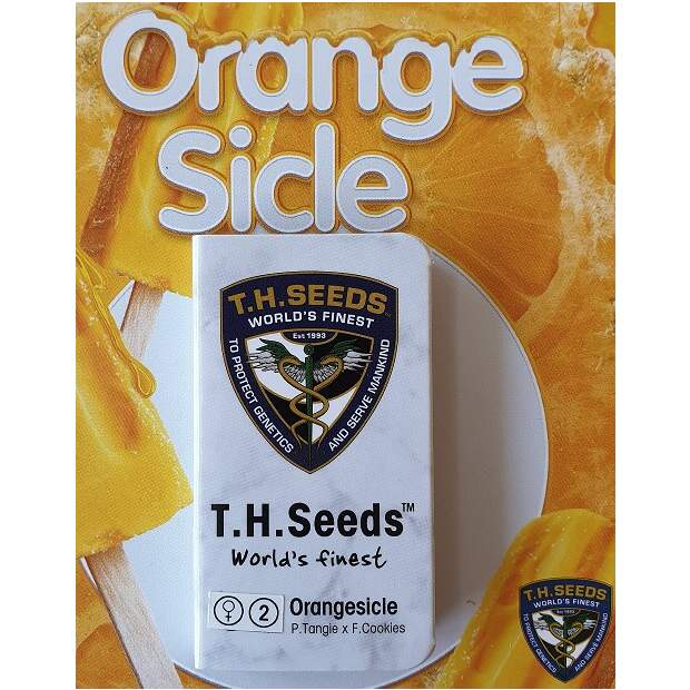 T.H. Seeds Orangesicle 6 Stk feminisiert