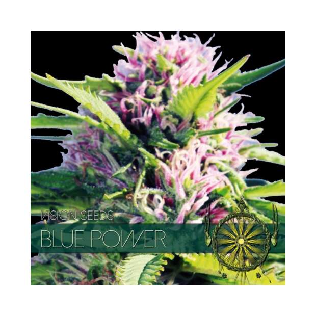 Vision Seeds Blue Power 5 pcs feminised