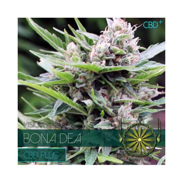 Vision Seeds Bona Dea - CBD+ 5 Stk feminisiert