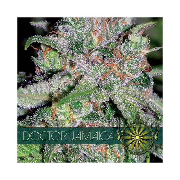 Vision Seeds Doctor Jamaica 5 Stk feminisiert