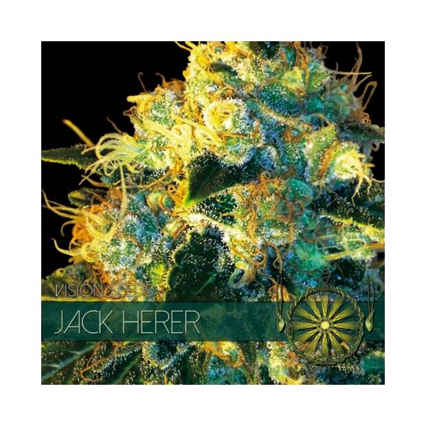 Vision Seeds Jack Herer 3 pcs feminised