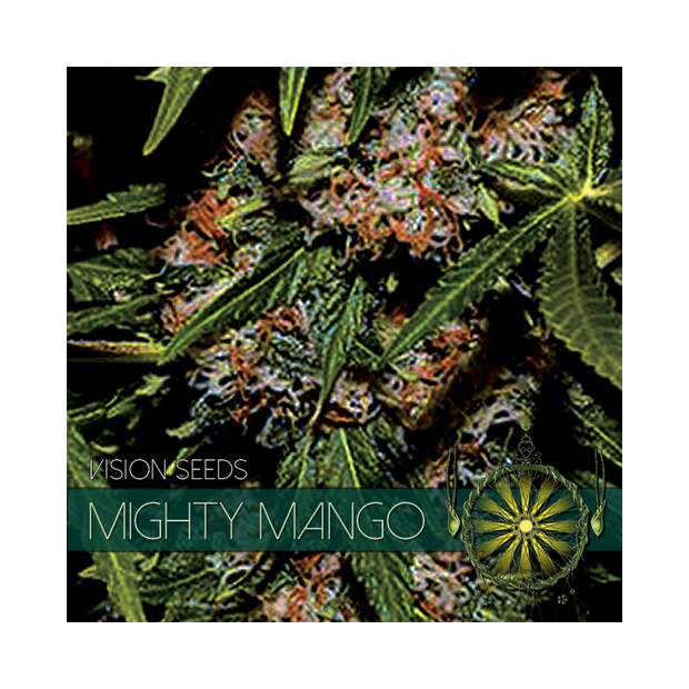 Vision Seeds Mighty Mango Bud 3 pcs feminised