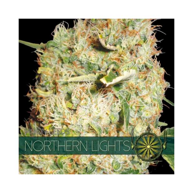 Vision Seeds Northern Lights 3 Stk feminisiert