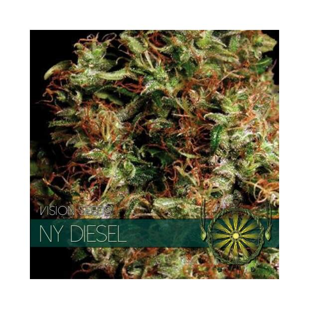 Vision Seeds Ny Diesel 5 pcs feminised