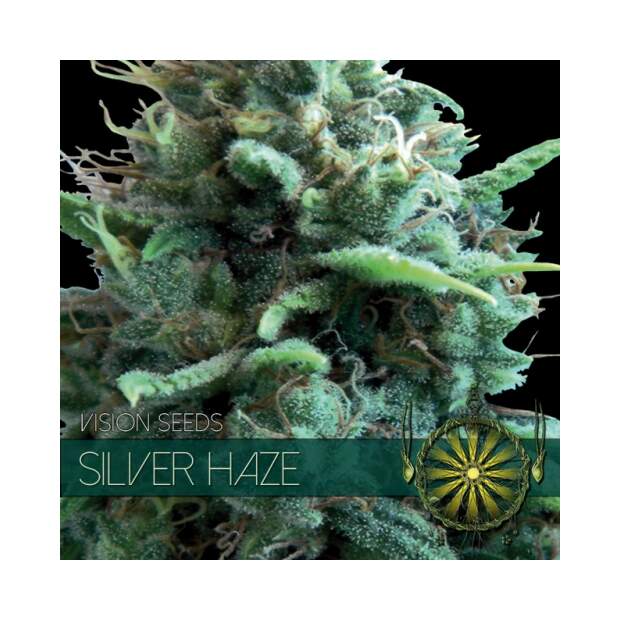 Vision Seeds Silver Haze 5 Stk feminisiert