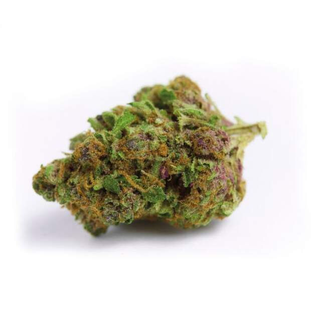 Growers Choice Double XL Red Banana Berry 5 Stk feminisiert