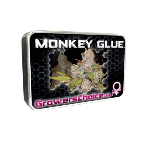 Growers Choice Monkey Glue 5 Stk feminisiert