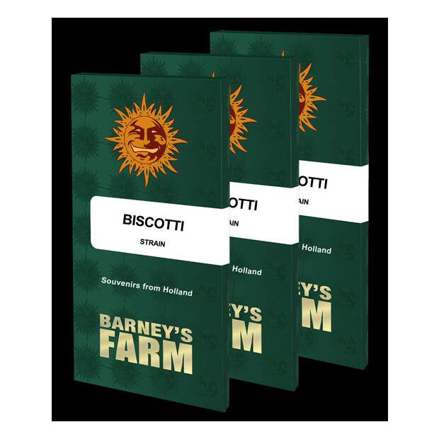 Barneys Farm Biscotti 3 Stk feminisiert