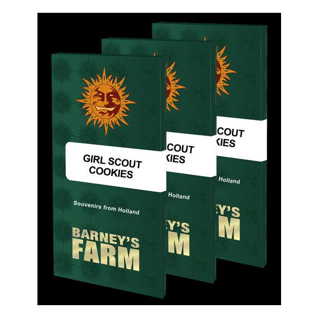Barneys Farm Girl Scout Cookies 3 Stk feminisiert