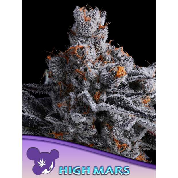 Anesia Seeds High Mars