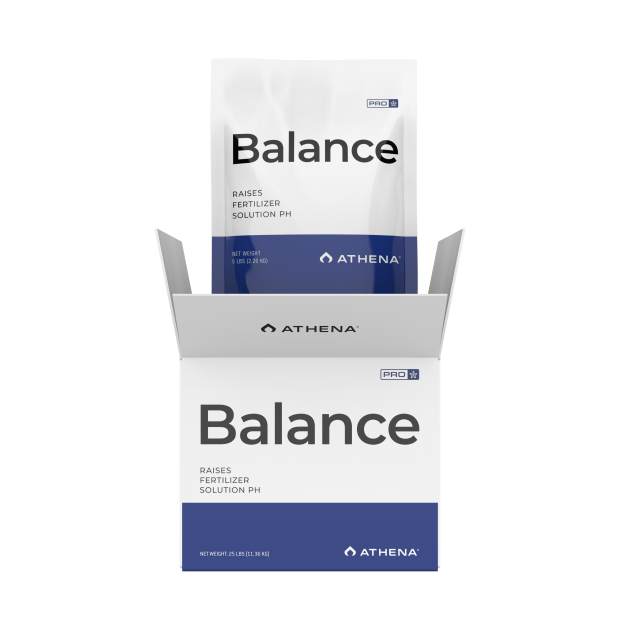 Athena Pro Line Balance 2,26kg