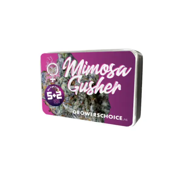 Growers Choice Mimosa Gusher