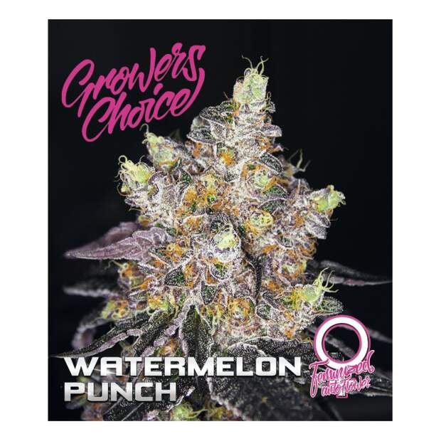 Growers Choice Watermelon Punch Auto