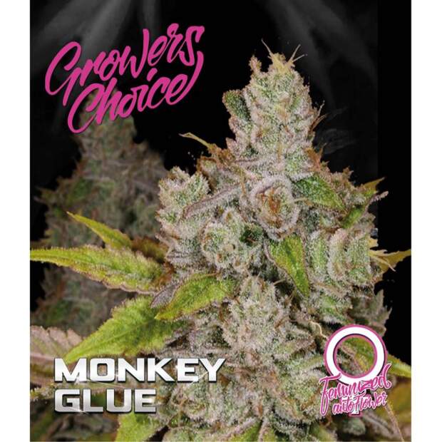 Growers Choice Monkey Glue Auto