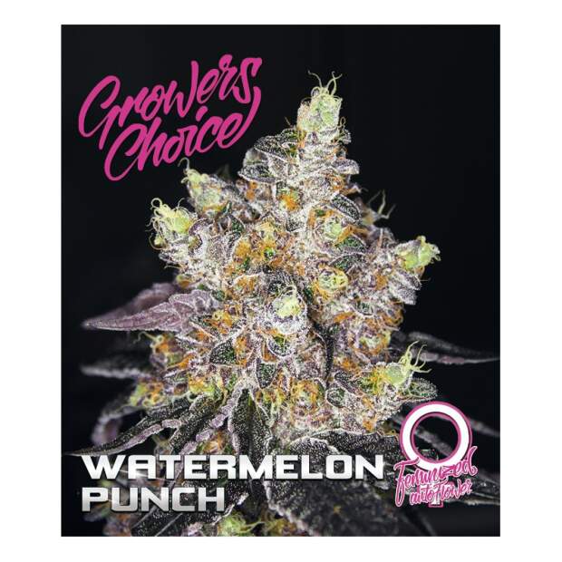 Growers Choice Watermelon Punch Auto 5 Stk feminisiert